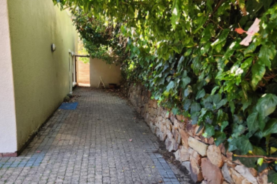 To Let 0 Bedroom Property for Rent in Claremont Upper Western Cape